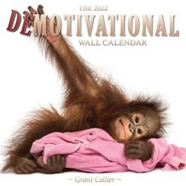 Demotivational Funny Calendar